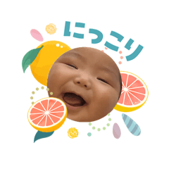 Matsu_20260403112321