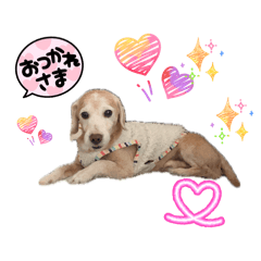 yukinko_20260403123455