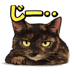 Mamiya_20260403124200