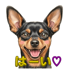 nozakkan_20260403124046