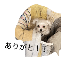 KUNKUN_20260403123921