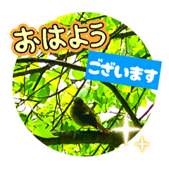 hitosuzisimaka_20260403123620