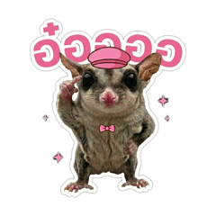 Sugar Nui Love memories