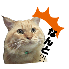 mitisuke_20260402230313