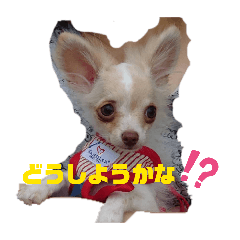 SpopoA_20260403132644