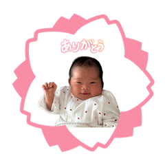 yamada_20260403133624