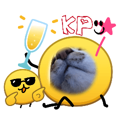 asmyk1410_20260403134229