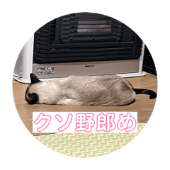 merubo_20260403134134