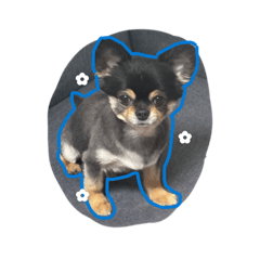 twooohu_20260403133157