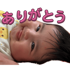 rinrin_20260403133312