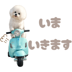 DOG STAMP ORDER_20260403093241