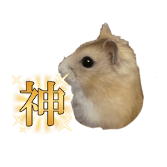 Kinakohausu_20260403135336