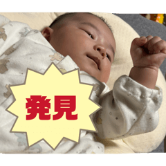 minori_20260403135912