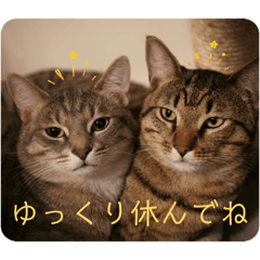 kanoa_20260403135919