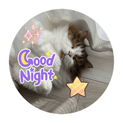 Ryuzo_20260403140134