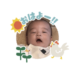 kaimama_20260403111245