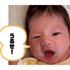 yukki_20260403111447