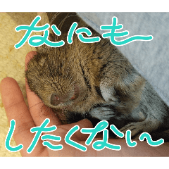 kame-Yamada_20260403110428