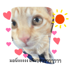 bububebe_20260402200121