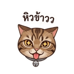 FEYFILM_20260402200504