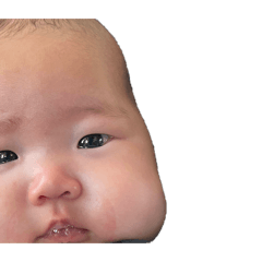 Kamaboko_20260402235849