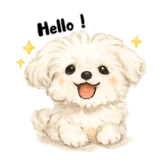 奶呼狗QQ的日常