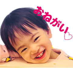 momo_20260402234945