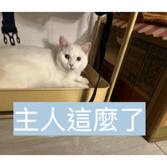 屁珠啾的快樂時光