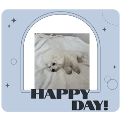 可愛くなったぽんこ