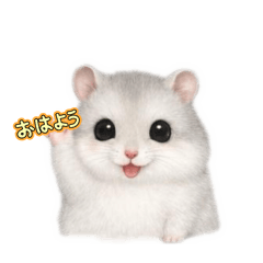 PET SEEYOUAGAIN_20260403142607