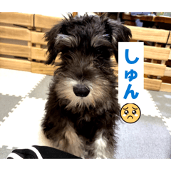 Kaede_20260403142632