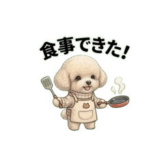 For Family Communication: Toy Poodle