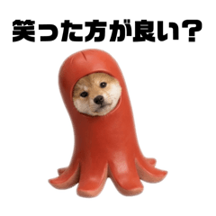 yutori_20260402190302