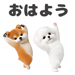 *Moving! Dogs everywhere