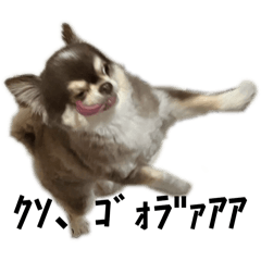 yuchi_20260402215822