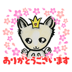 kurotan1_20260402231341