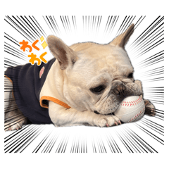 OKARA_20260403121106