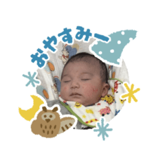 shiho_20260403150110