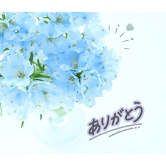 Ruarua_20260403150902