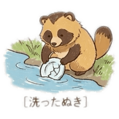 raccoon dog_20260402234759