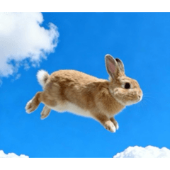 kinako_20260403003720