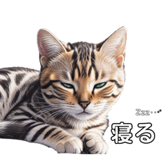 aopanda_20260403024639