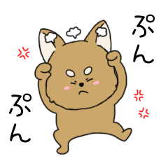 Shiba Inuchan