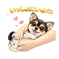 Haruka Yamamoto_20260403121142