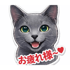 MASAKO-Russian blue_20260403123251