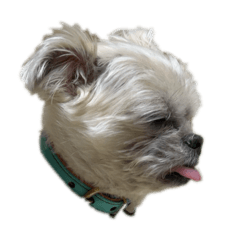 cute Tsumugi's sticker