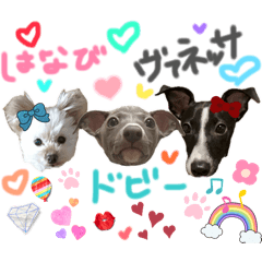 akoya_20260330230327