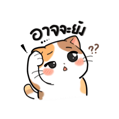 Supwadee_20260402215544