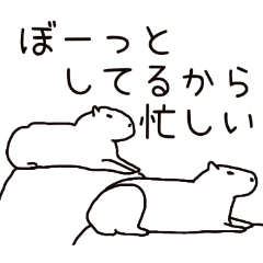 PAKAMOGOLY_20260403001530