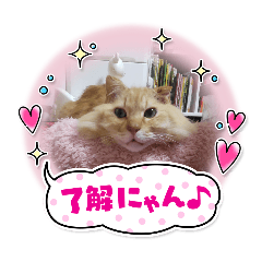 y2010518_20260403001926